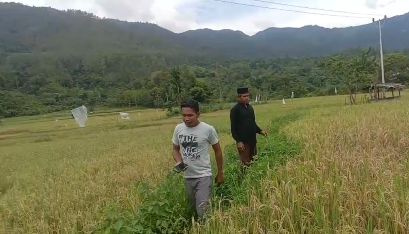 Persawahan di Serang Hama, Warga Meminta Mirzuan Tidak Diam