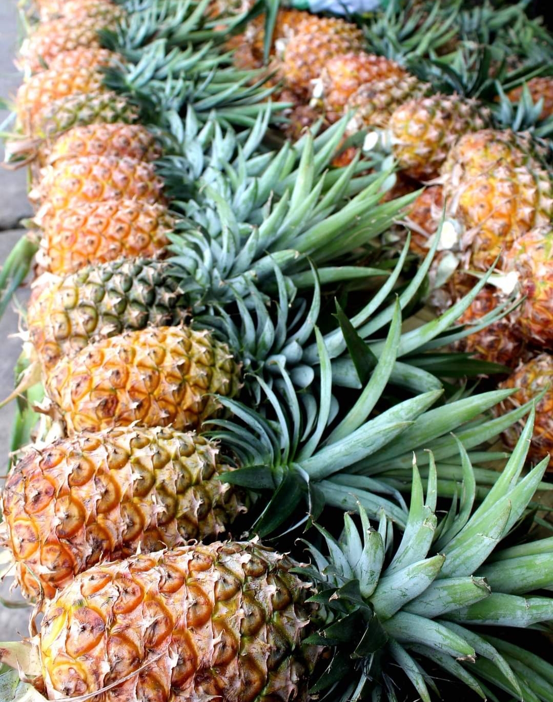 Buah Nenas Sangat Bagus Menjaga Sperma Tetap Sehat dan Berkualitas