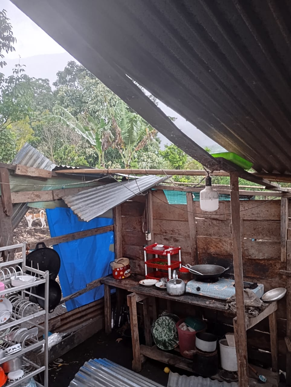 Tidur Lelap Warga Ketol Terganggu, Desingan Suara Angin Hempaskan Atap Rumah