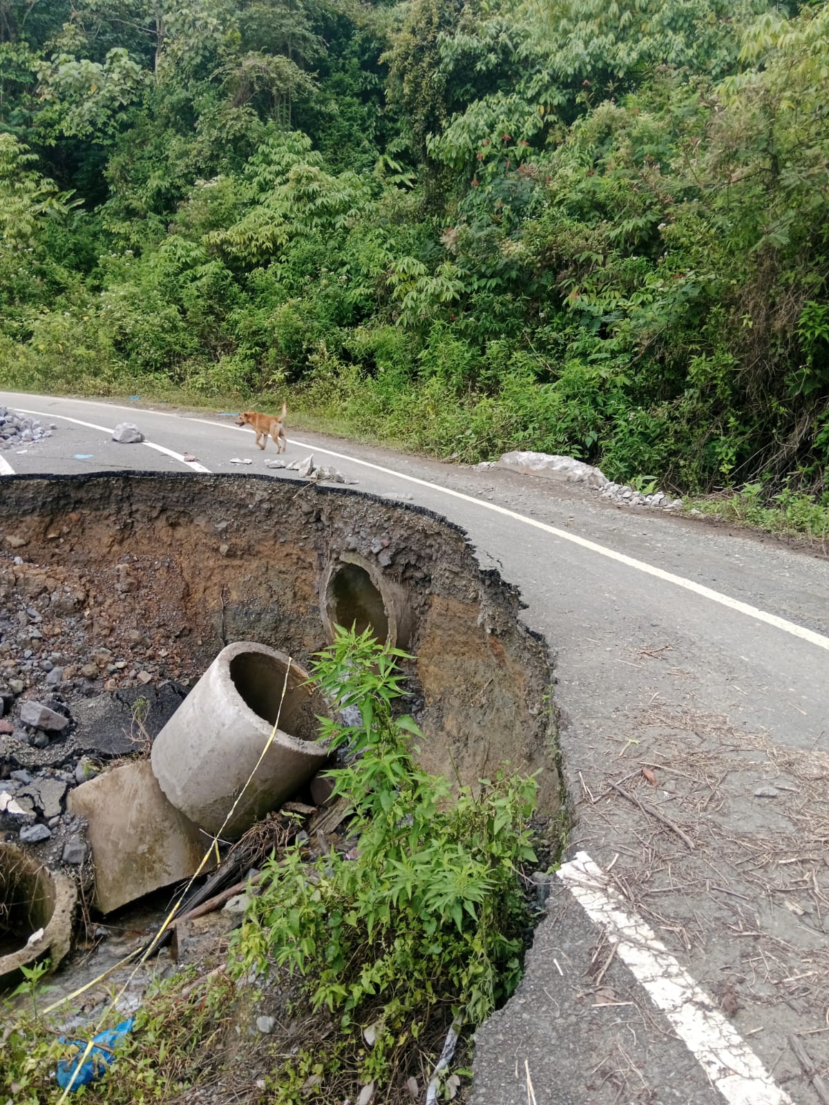Nyaris Putus, Warga Serule dan Desa Payung Minta Pemerintah Perbaiki Jalan