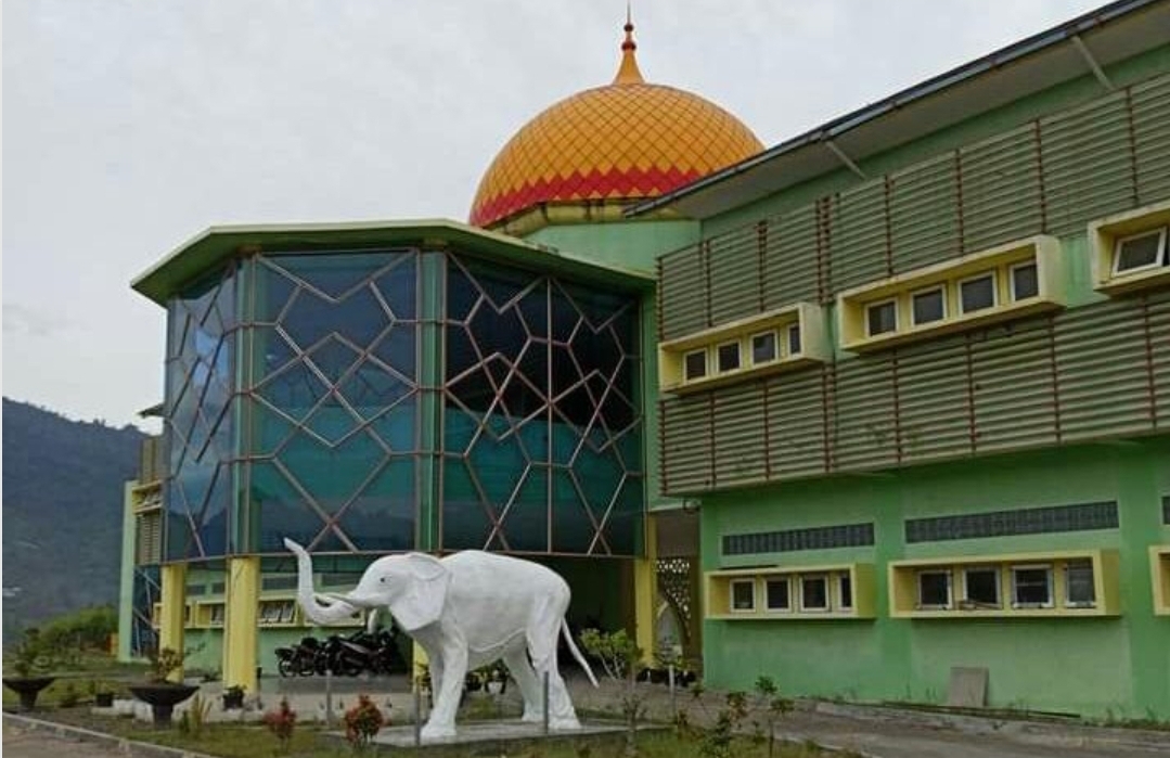 27 Pegawai P3K “SK Gantung” Dirumahkan Rektor IAIN, Prof Ridwan, “Kami Tidak Punya Anggaran”
