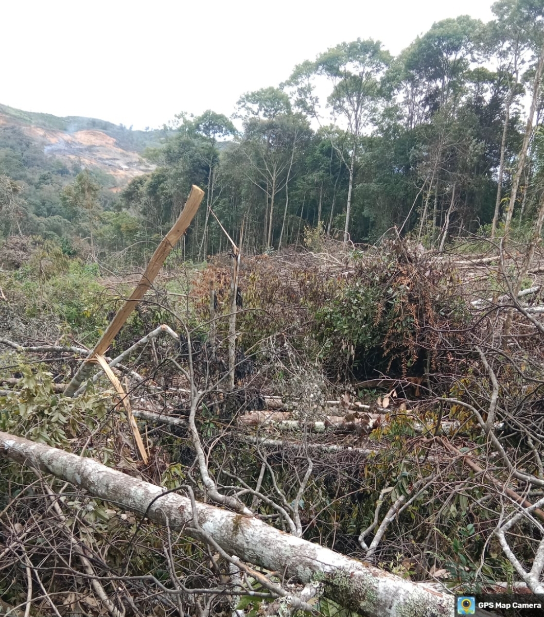 Periksa Penebang Hutan Lindung Desa Wih Terjun Polres Gandeng KPH